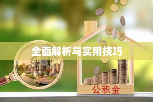 玉龙全面解析与实用技巧