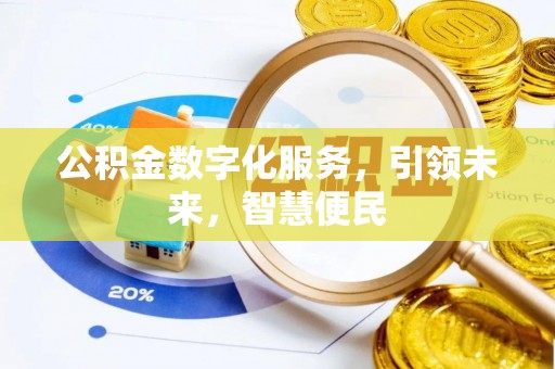 玉龙公积金数字化服务，引领未来，智慧便民