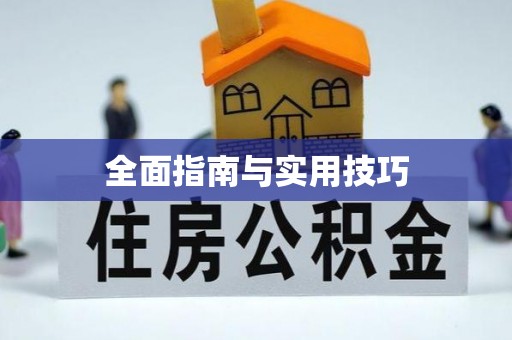 玉龙全面指南与实用技巧