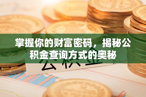 玉龙掌握你的财富密码，揭秘公积金查询方式的奥秘