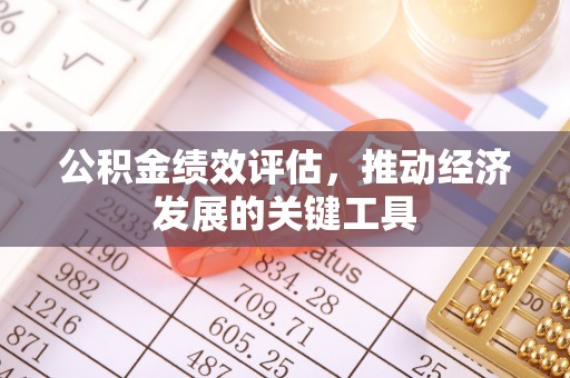 玉龙公积金绩效评估，推动经济发展的关键工具