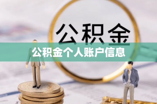 玉龙公积金个人账户信息