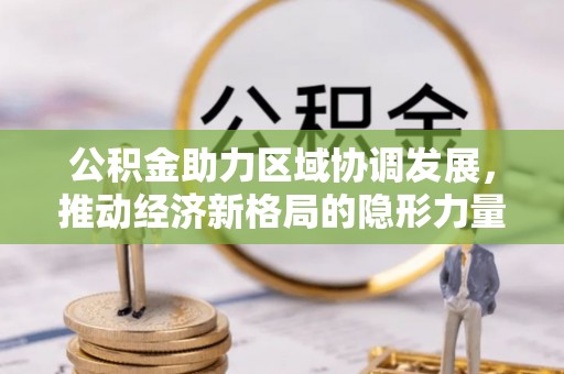 玉龙公积金助力区域协调发展，推动经济新格局的隐形力量