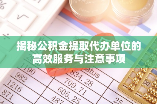 玉龙揭秘公积金提取代办单位的高效服务与注意事项