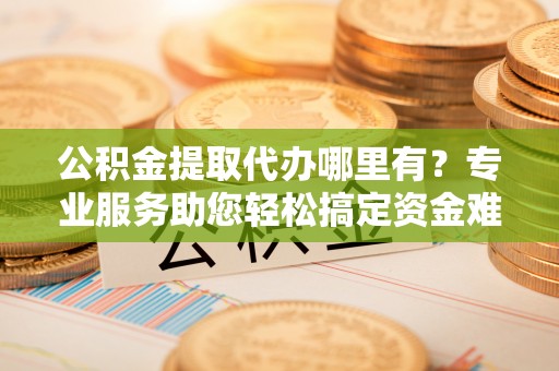 玉龙公积金提取代办哪里有？专业服务助您轻松搞定资金难题