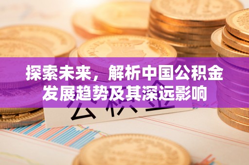 玉龙探索未来，解析中国公积金发展趋势及其深远影响