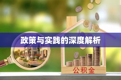 玉龙政策与实践的深度解析