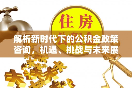 玉龙解析新时代下的公积金政策咨询，机遇、挑战与未来展望