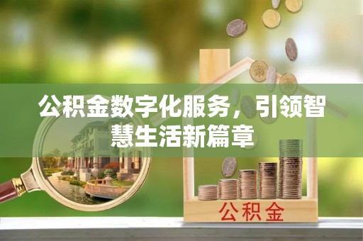 玉龙公积金数字化服务，引领智慧生活新篇章