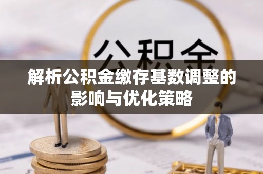 玉龙解析公积金缴存基数调整的影响与优化策略
