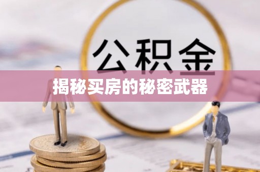 玉龙揭秘买房的秘密武器
