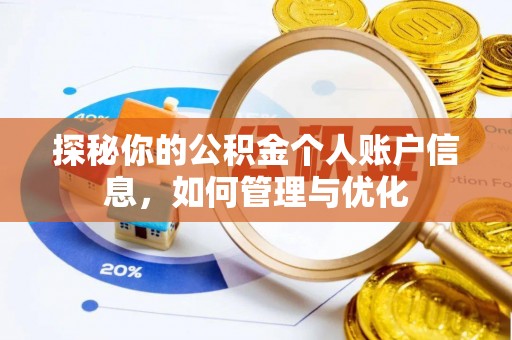 玉龙探秘你的公积金个人账户信息，如何管理与优化