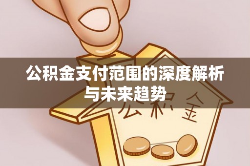 玉龙公积金支付范围的深度解析与未来趋势