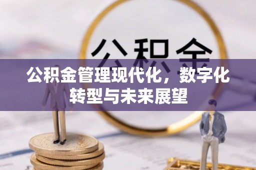 玉龙公积金管理现代化，数字化转型与未来展望