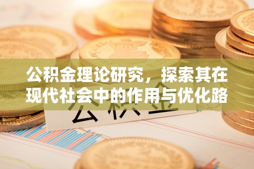 玉龙公积金理论研究，探索其在现代社会中的作用与优化路径