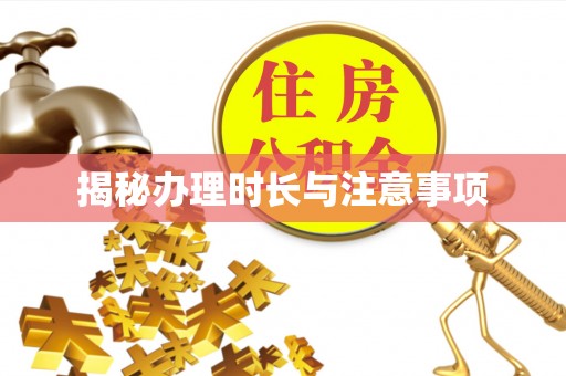 玉龙揭秘办理时长与注意事项