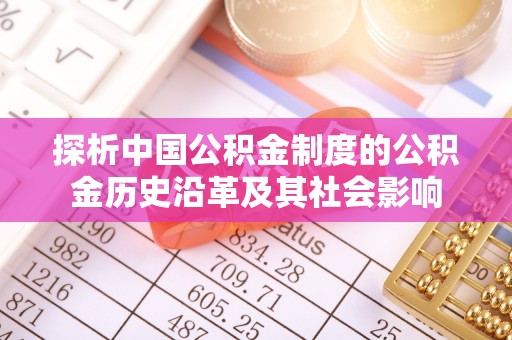 玉龙探析中国公积金制度的公积金历史沿革及其社会影响