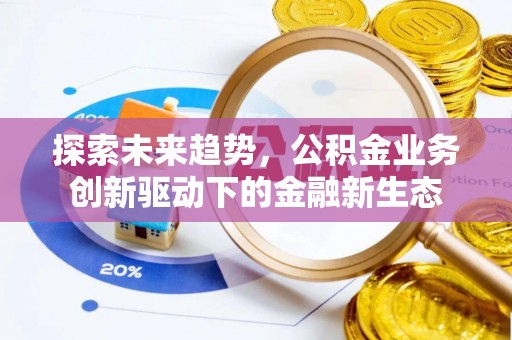 玉龙探索未来趋势，公积金业务创新驱动下的金融新生态