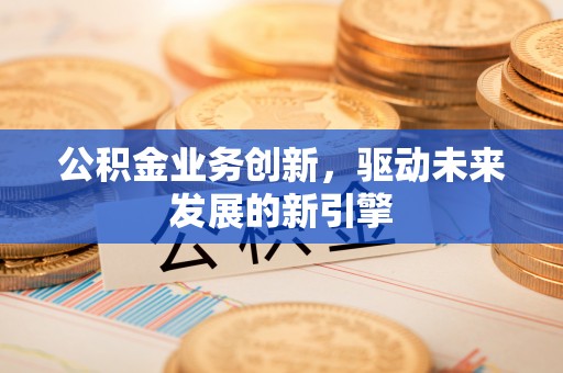 玉龙公积金业务创新，驱动未来发展的新引擎