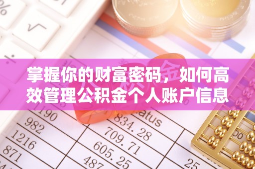 玉龙掌握你的财富密码，如何高效管理公积金个人账户信息