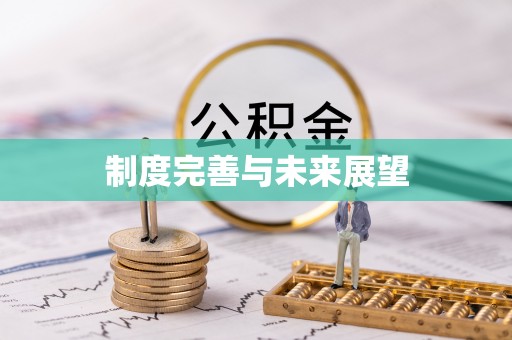 玉龙制度完善与未来展望