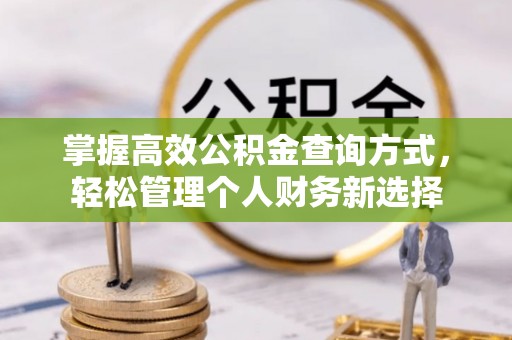 玉龙掌握高效公积金查询方式，轻松管理个人财务新选择