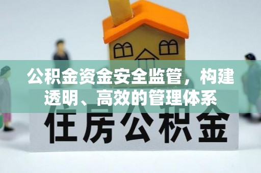 玉龙公积金资金安全监管，构建透明、高效的管理体系