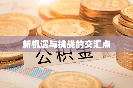 玉龙新机遇与挑战的交汇点