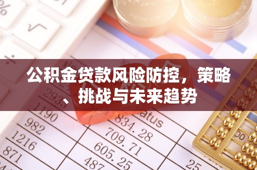 玉龙公积金贷款风险防控，策略、挑战与未来趋势