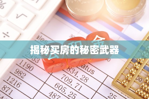 玉龙揭秘买房的秘密武器