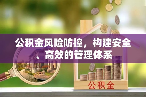 玉龙公积金风险防控，构建安全、高效的管理体系