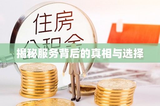 玉龙揭秘服务背后的真相与选择