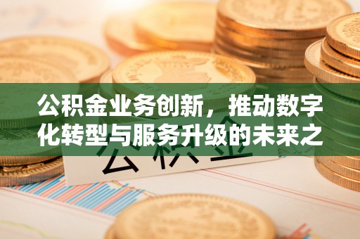玉龙公积金业务创新，推动数字化转型与服务升级的未来之路
