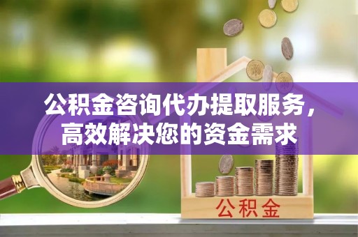 玉龙公积金咨询代办提取服务，高效解决您的资金需求