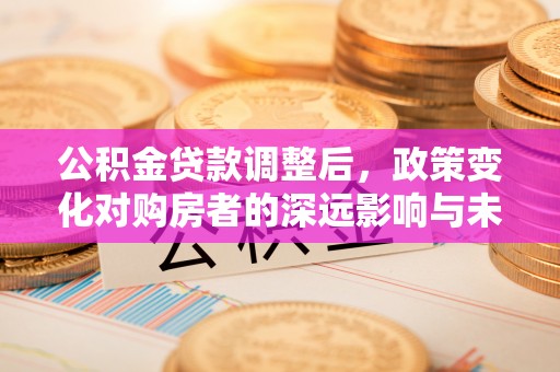 玉龙公积金贷款调整后，政策变化对购房者的深远影响与未来趋势分析