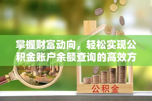 玉龙掌握财富动向，轻松实现公积金账户余额查询的高效方式