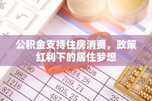 玉龙公积金支持住房消费，政策红利下的居住梦想