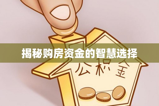 玉龙揭秘购房资金的智慧选择
