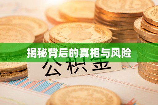 玉龙揭秘背后的真相与风险