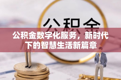 玉龙公积金数字化服务，新时代下的智慧生活新篇章