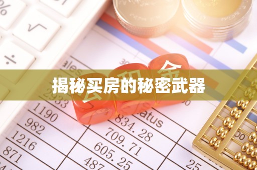 玉龙揭秘买房的秘密武器