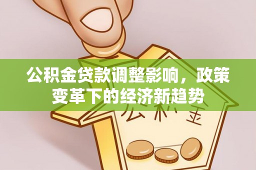 玉龙公积金贷款调整影响，政策变革下的经济新趋势