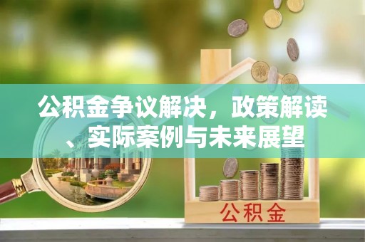 玉龙公积金争议解决，政策解读、实际案例与未来展望