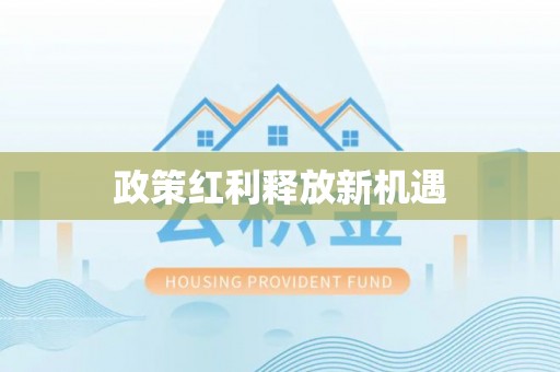 玉龙政策红利释放新机遇