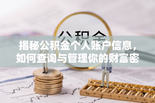 玉龙揭秘公积金个人账户信息，如何查询与管理你的财富密码