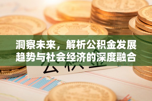 玉龙洞察未来，解析公积金发展趋势与社会经济的深度融合