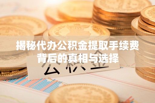 玉龙揭秘代办公积金提取手续费背后的真相与选择