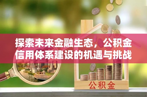 玉龙探索未来金融生态，公积金信用体系建设的机遇与挑战