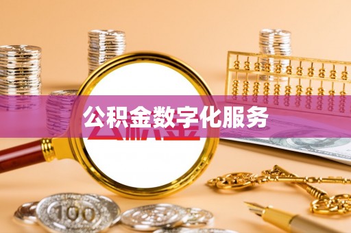 玉龙公积金数字化服务