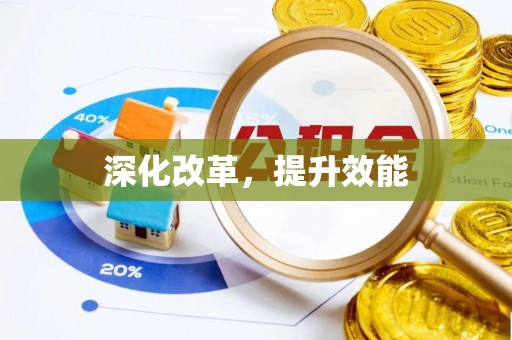 玉龙深化改革，提升效能